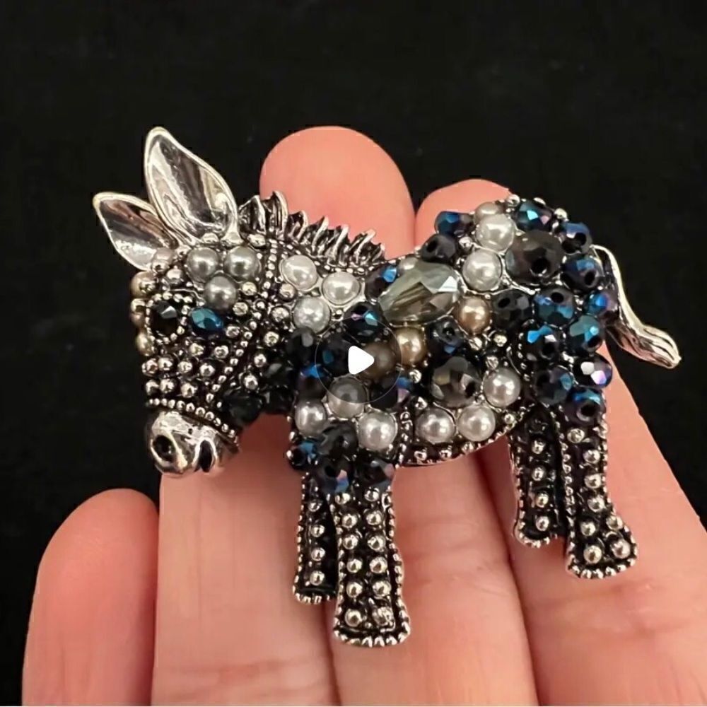 🩶 Betsey Johnson sparkling sweet donkey brooch 🩶